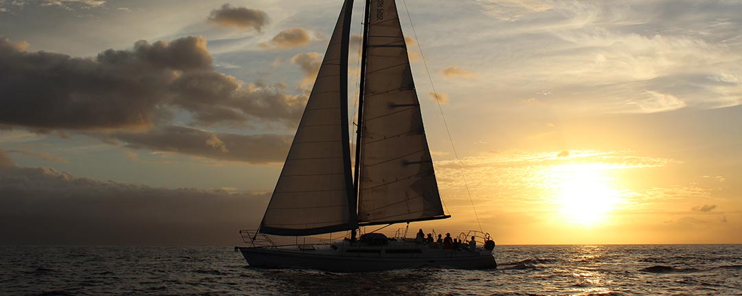Maui Champagne Sunset Sail