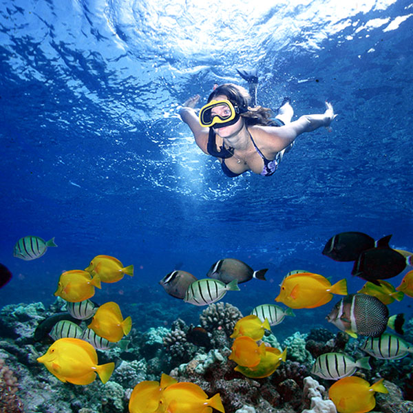 Maui Morning Snorkel Sail